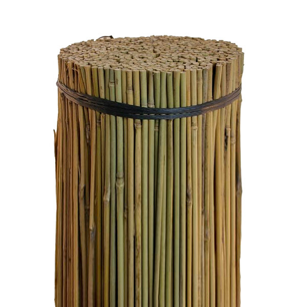 Bamboo Canes - 8ft (22-24mm)