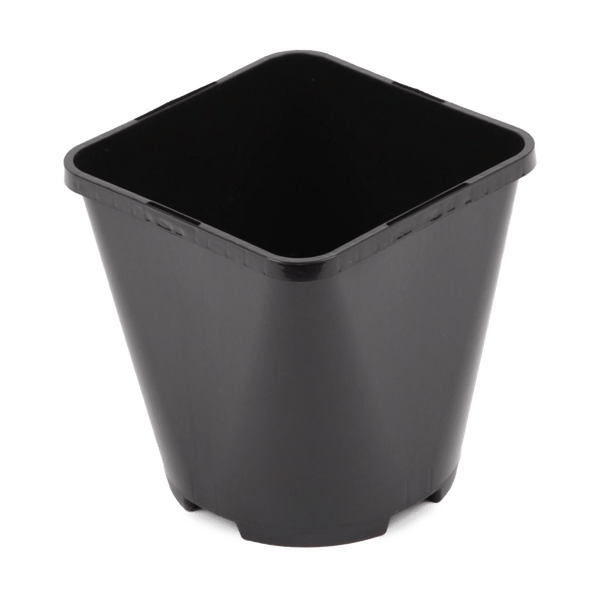 2 Litre Square Black and Round Plastic Plant Pot