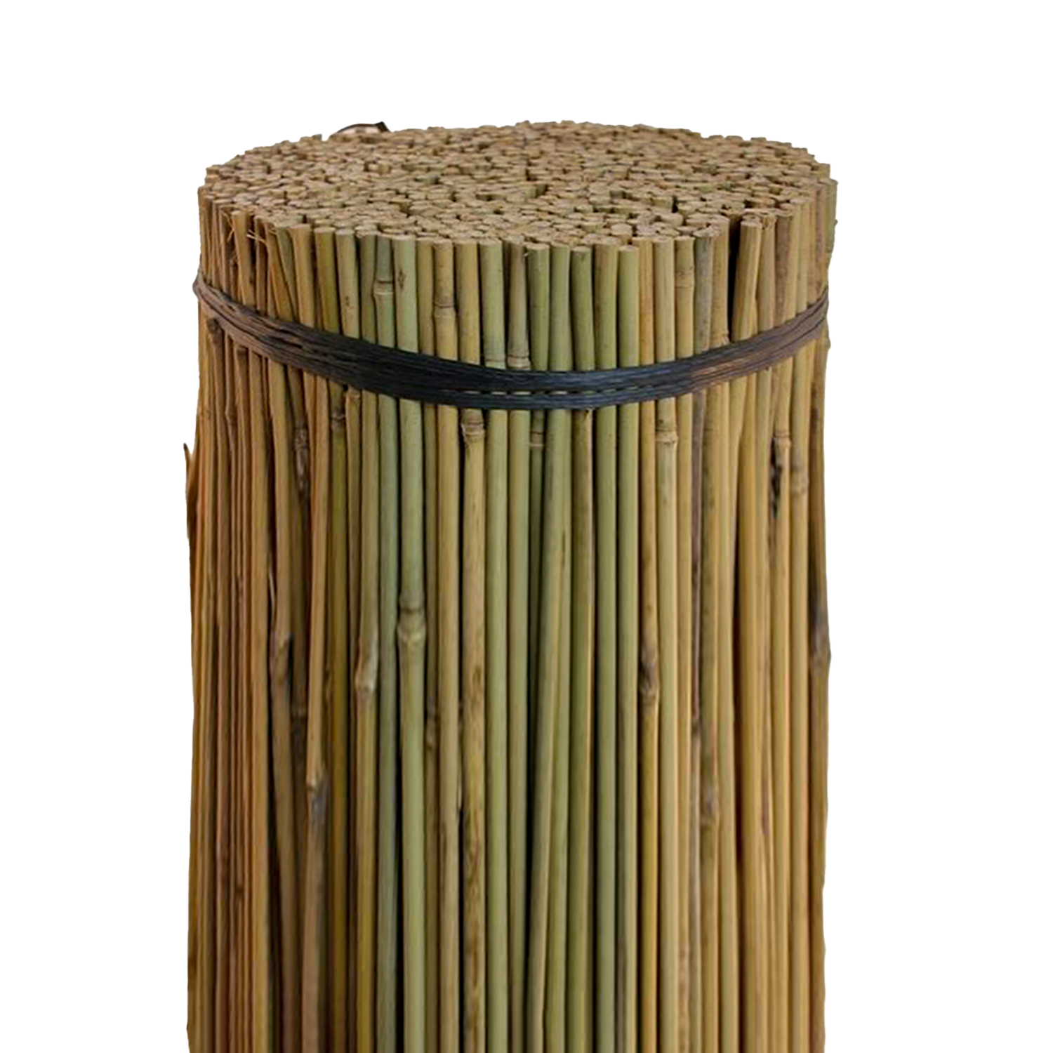 Bamboo Canes Glenmore Hedging